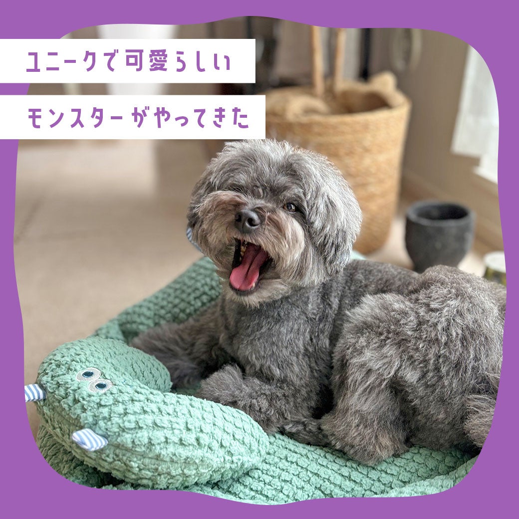 iDogにやってきたユニークなモンスターくん