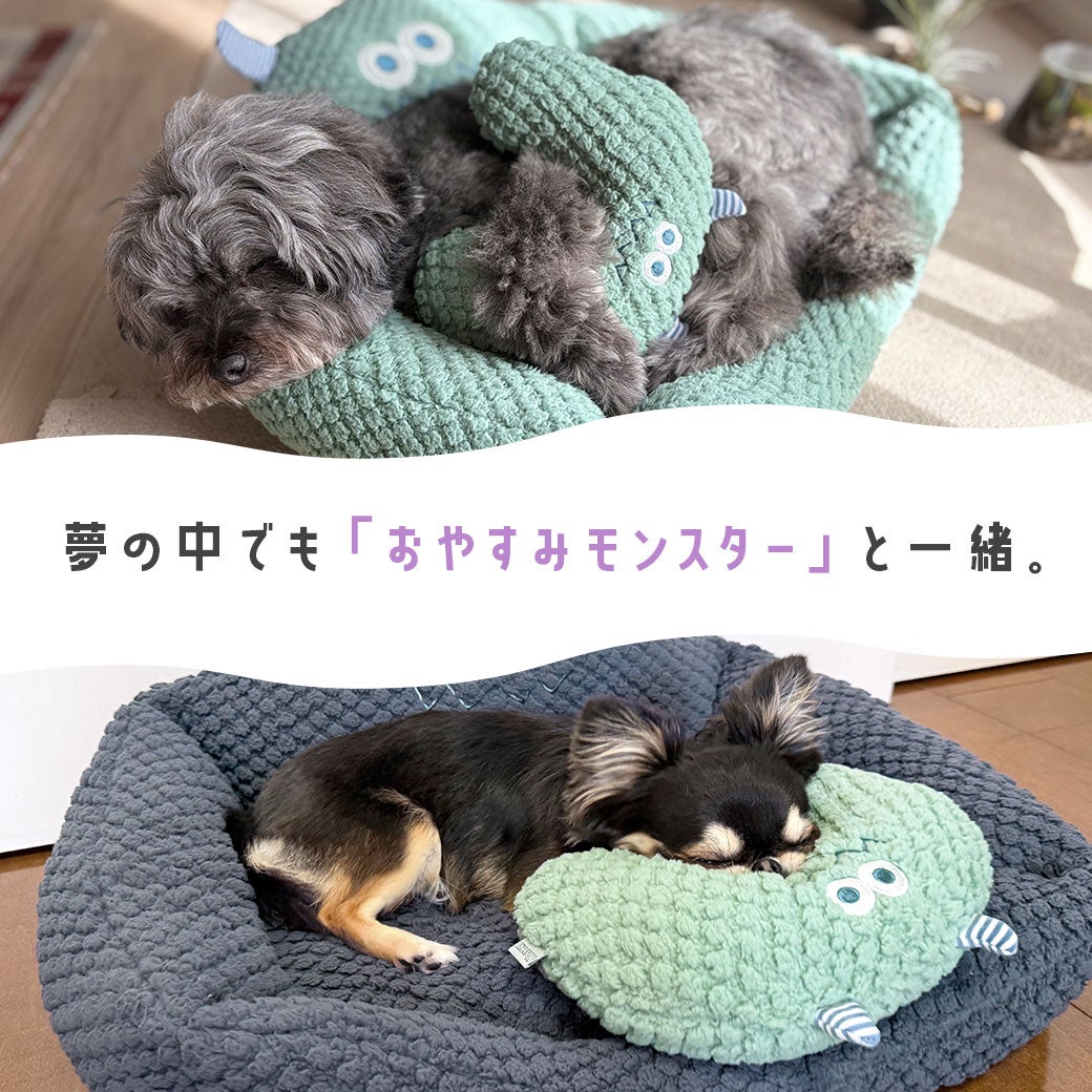 可愛くて暖かい最高のパートナー