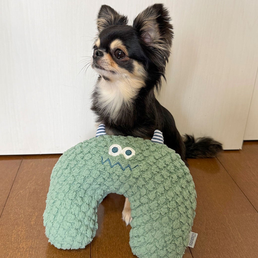 チワワ1.8kg(首19.5/胴27.5/丈22cm)のざらめちゃんはもふもふターコイズを使用