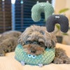 iDogMonsterモンスターピローアイドッグ