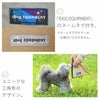 【 犬 マナーポーチ 】iDog 三角マナーポーチ バイカラー IDOG EQUIPMENT 撥水 メール便OK