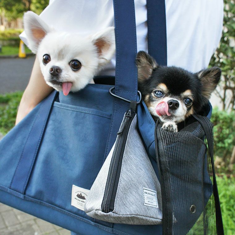 iDog WALKA HOLIC 三角マナーポーチ スタンダード 撥水 消臭-| 犬