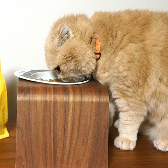 セレクトバランス グレインフリー 猫スリム チキン 小粒 1.6kg IDOG&ICAT|