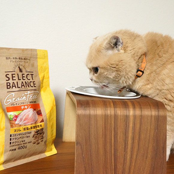 セレクトバランス グレインフリー 猫スリム チキン 小粒 1.6kg IDOG&ICAT|