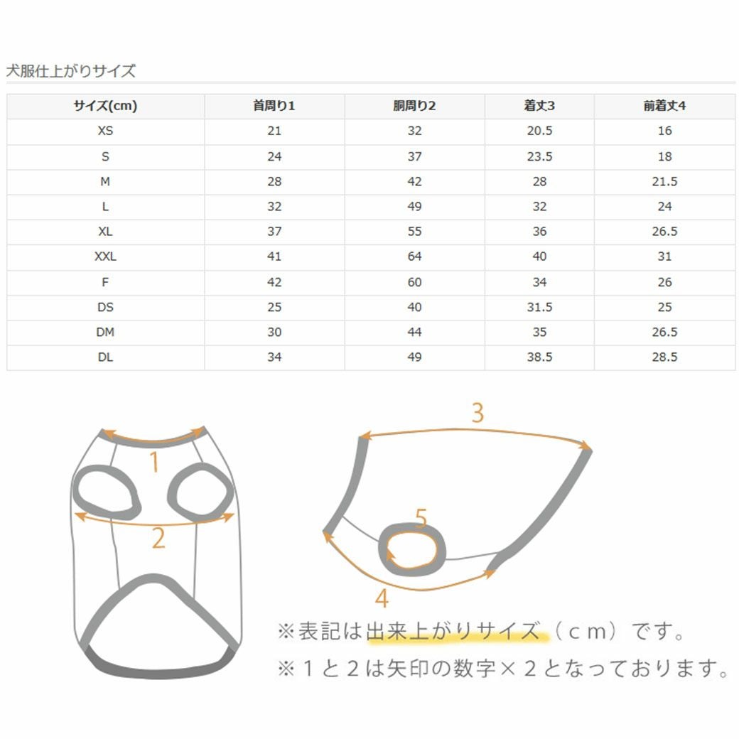 サイズ表