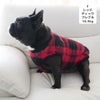 フレブル10.9kg(首40/胴58/丈30cm)のペシェちゃんはレッドチェックのFを着用