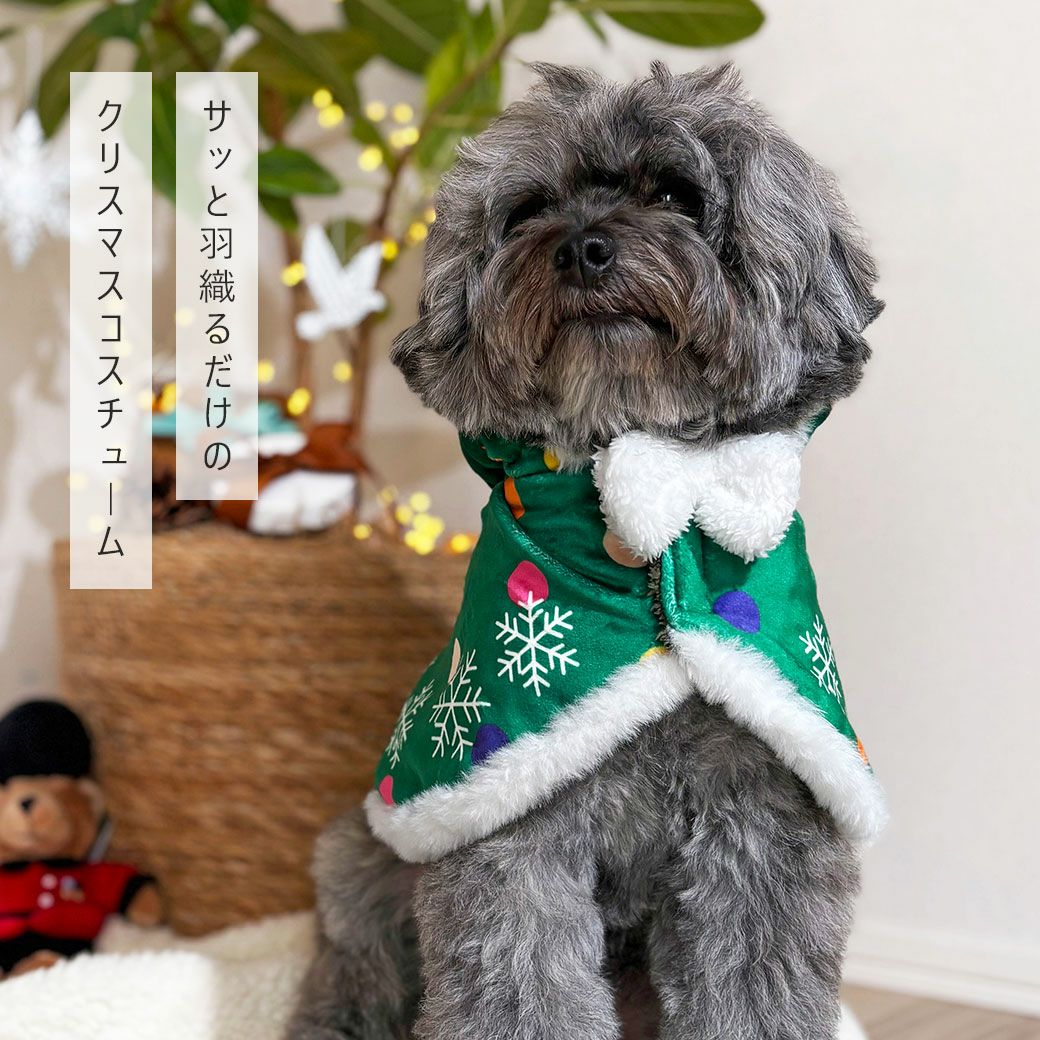 COACH コーチ クリスマスホリデー ペット 犬 ぬいぐるみ ドッグウェア付き iDog クリスマスケープ アイドッグ-犬猫用品通販 IDOG&ICAT|ペット 犬 服