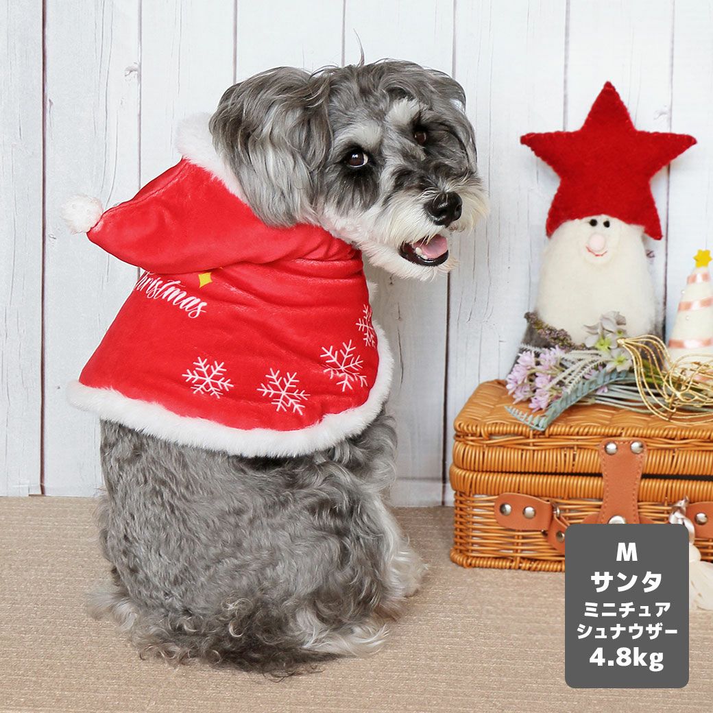 iDog クリスマスケープ アイドッグ-犬猫用品通販 IDOG&ICAT|ペット 犬 服