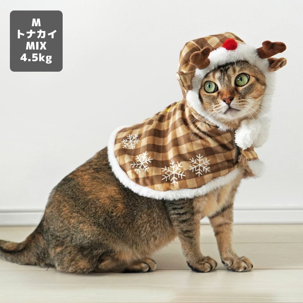 iDog クリスマスケープ アイドッグ-犬猫用品通販 IDOG&ICAT|ペット 犬 服