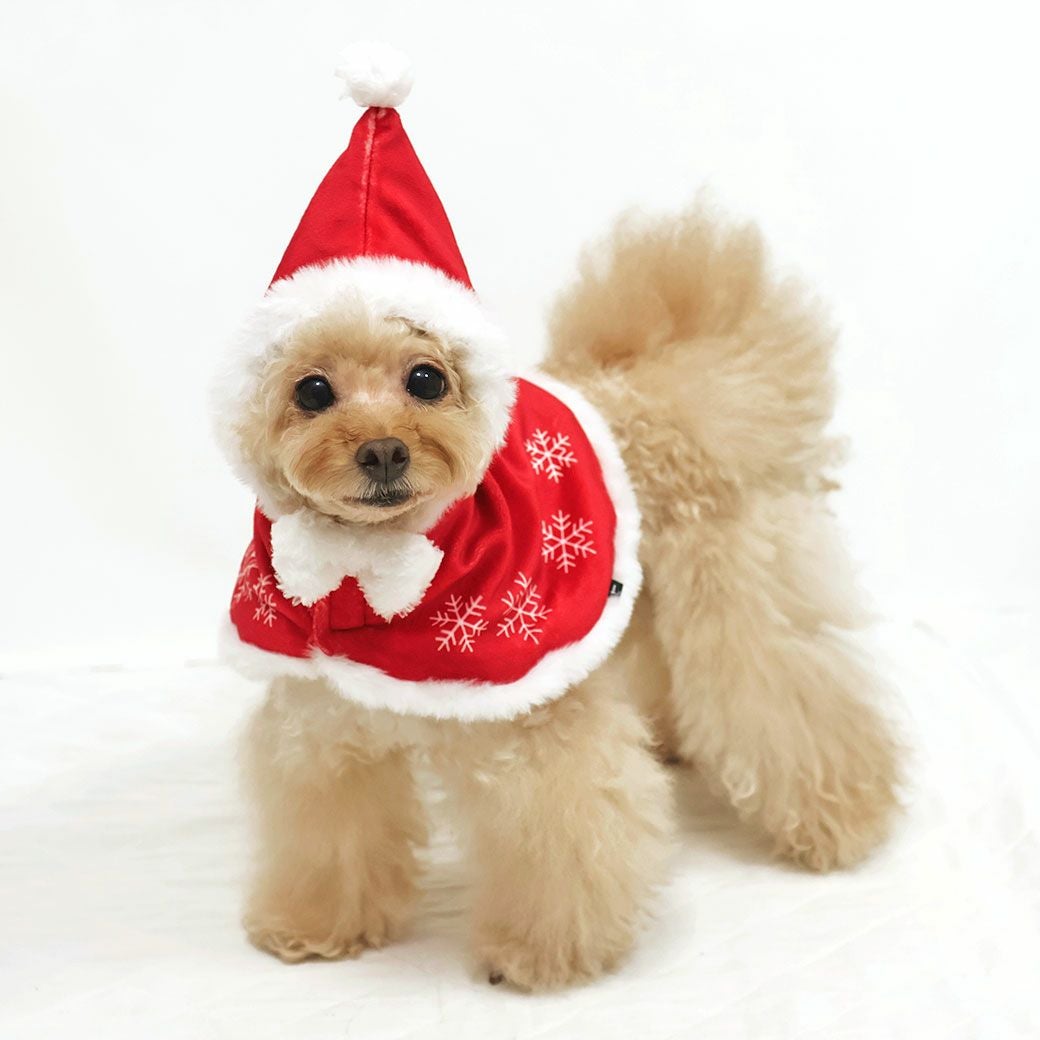 iDog クリスマスケープ アイドッグ-犬猫用品通販 IDOG&ICAT|ペット 犬 服