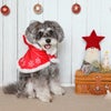 かわいいケープでクリスマスパーティを盛り上げよう！