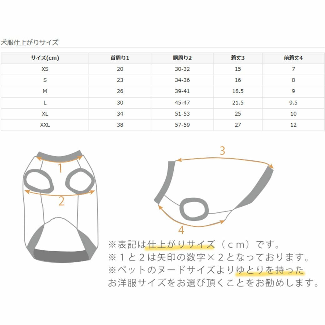 サイズ表