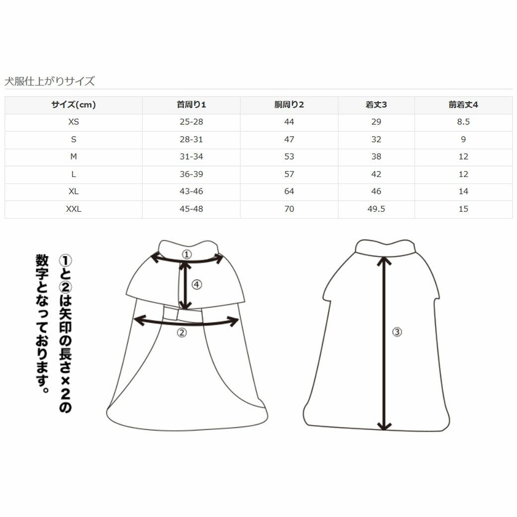 サイズ表