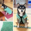 こだわりのデザイン
