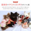 記念日やイベントにピッタリのオシャレアイテム。