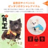 記念日やイベントにピッタリのオシャレアイテム