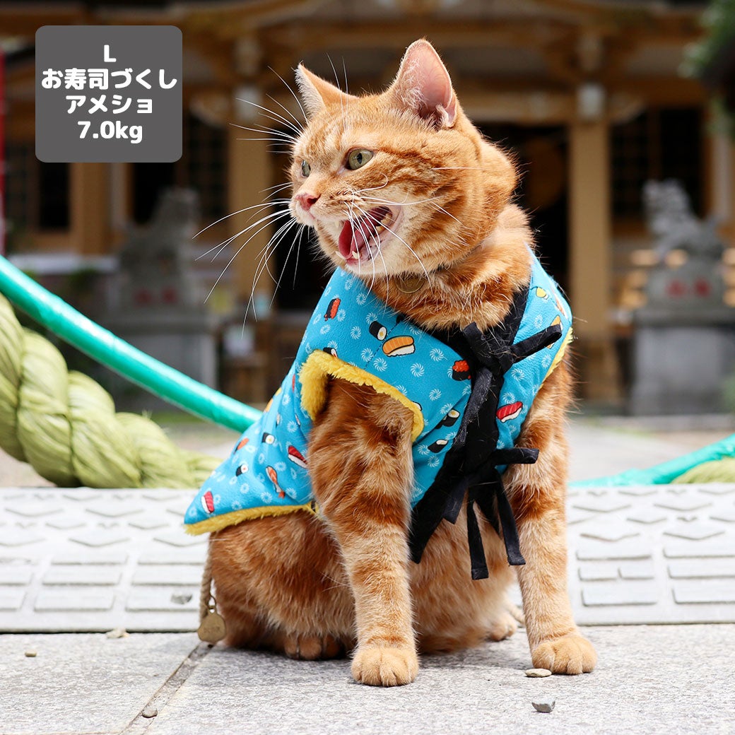 アメショ7.0kg(首28/胴48/丈28cm)のタラくんはお寿司づくしのL着用
