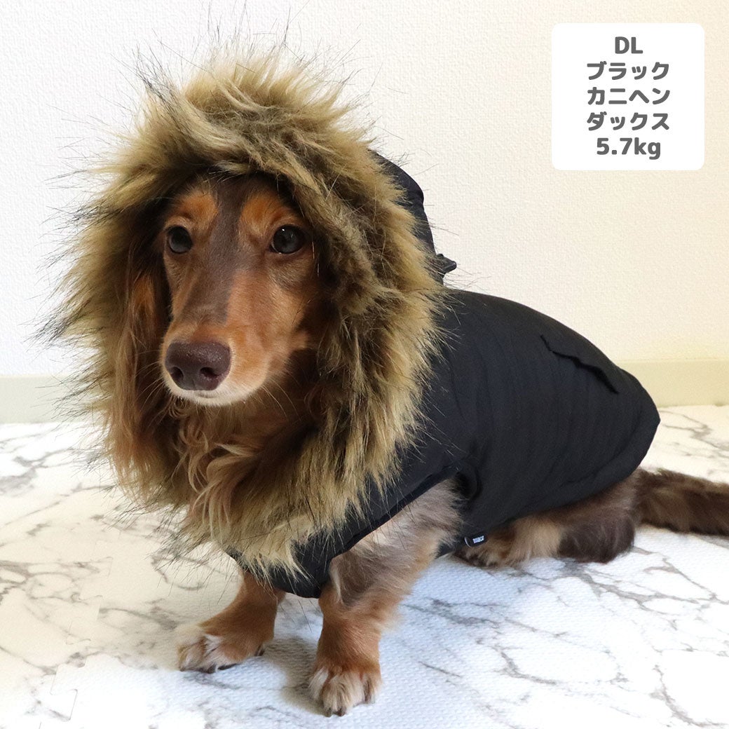 カニヘンダックス5.7kg(首30/胴43/丈37cm)のハクくんはブラックのDLを着用