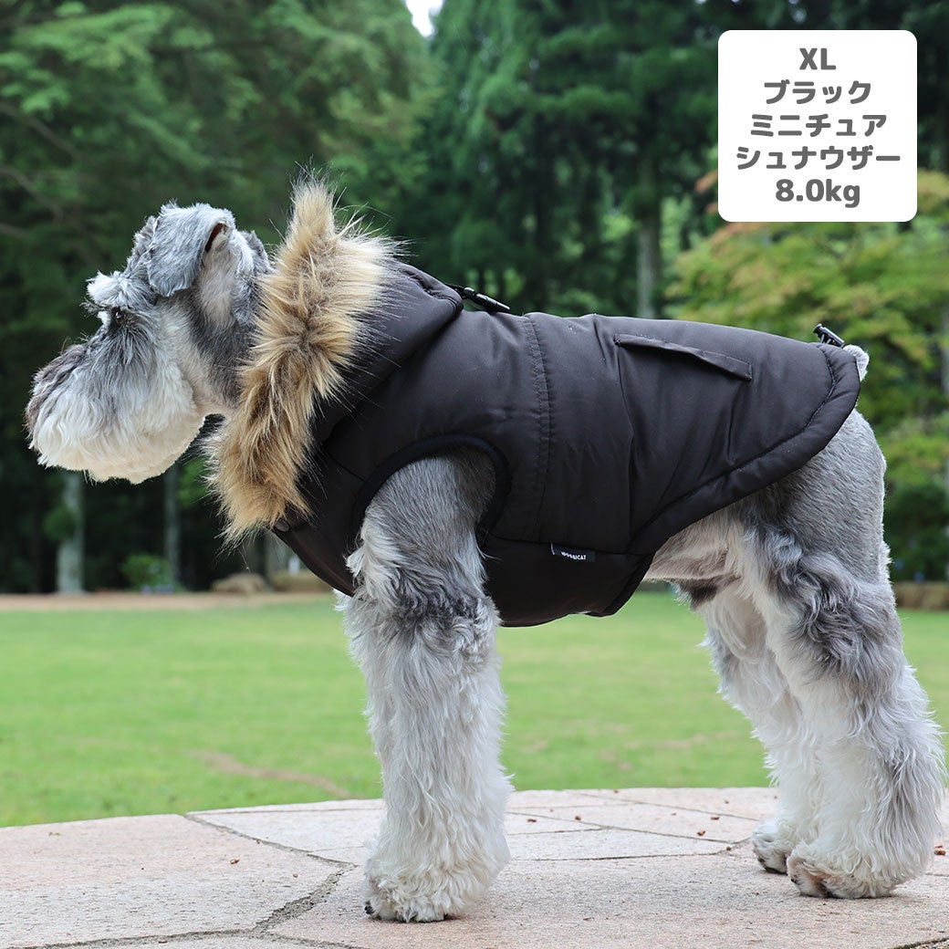ミニチュアシュナウザー8.0kg(首28/胴49/丈36cm)のマハロくんはブラックのXLを着用
