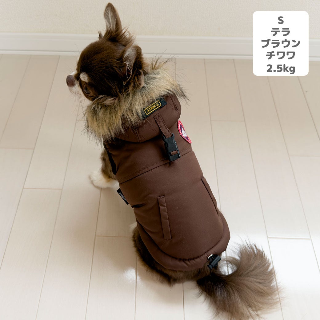 チワワ2.5kg(首20/胴35/丈33cm)のピクルスくんはテラブラウンのSを着用
