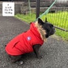 フレブル10.9kg(首40/胴58/丈30cm)のペシェちゃんはレッドのFを着用