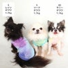 チワワ1.7kg(首19/胴28.5/丈21cm)の小桃ちゃんはレインのSを着用、チワワ1.7kg(首18/胴27.5/丈22cm)のトロくんはリーフのSを着用チワワ1.7kg(首18/胴27.5/丈18cm)の小真知ちゃんはサニーのXSを着用