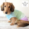 ミニチュアダックス4.3kg(首27/胴40/丈33cm)のALFaくんはブルーパープルのDMを着用