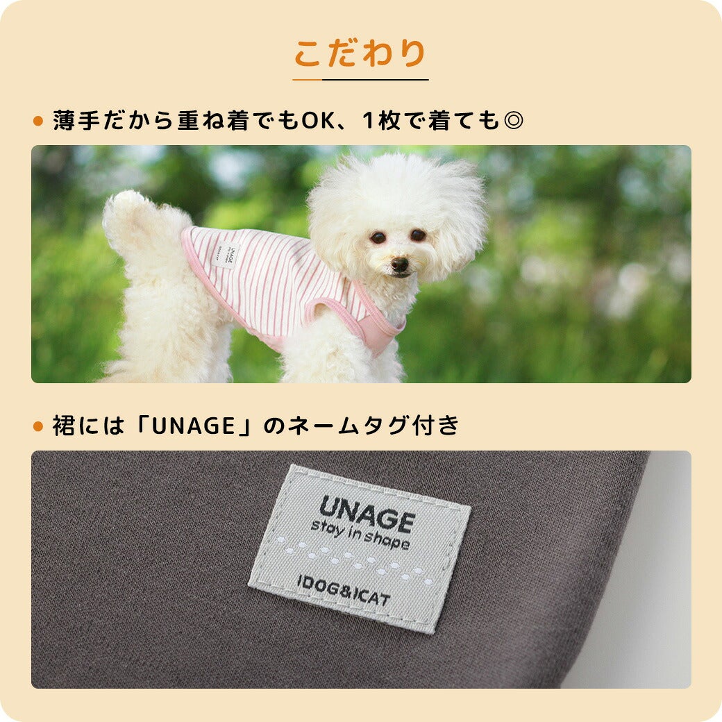 こだわりのデザイン