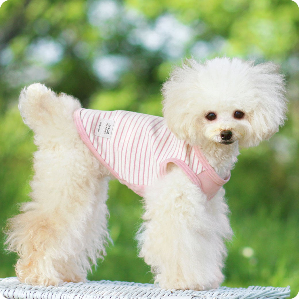 IDOG&ICAT UN_AGE ウェルネスウェア XS iDog UNAGE ウェルネスウェア インナータンク- IDOG&ICAT|歩行改善