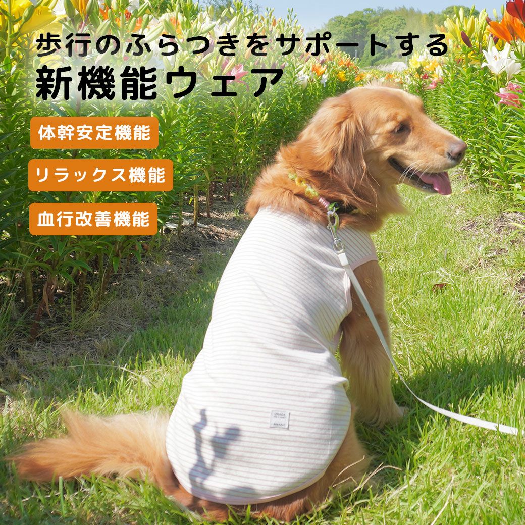 iDog UNAGE 中大型犬用 ウェルネスウェア インナータンク アイドッグ
