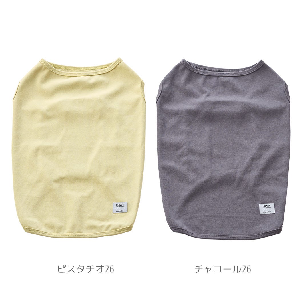 カラーラインナップ