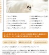 ウェルネスウェアが生き生きとした生活をサポート