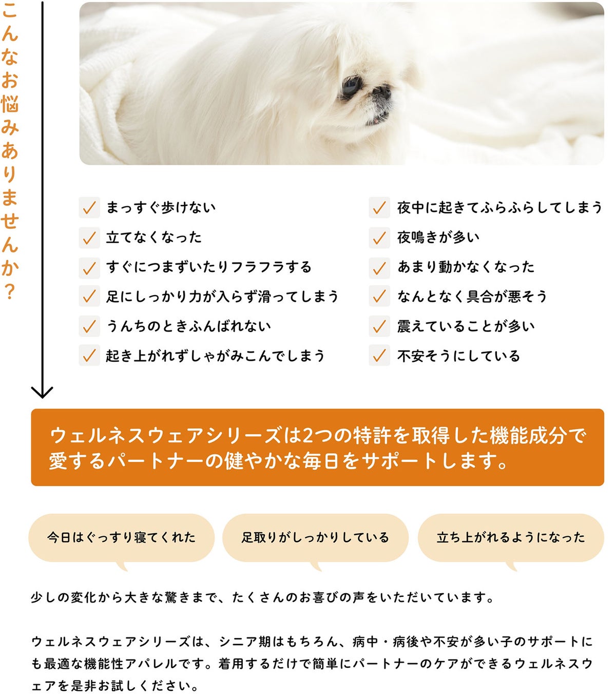 ウェルネスウェアが生き生きとした生活をサポート