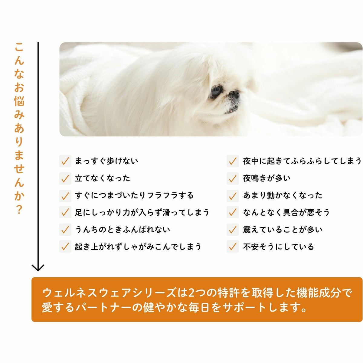 本格的なデザイン
