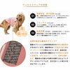 着せやすく、脱げにくく、動きやすい
