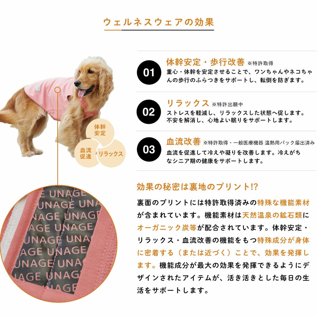 着せやすく、脱げにくく、動きやすい