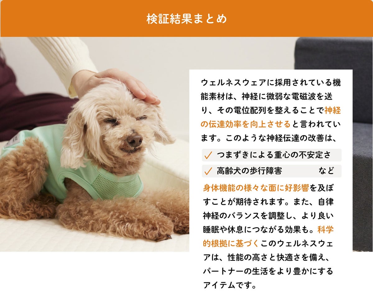 まとめ