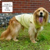 MIX12.0kg(首37/胴53/丈48cm)のはちみつちゃんはピスタチオ26のLarge-Sを着用