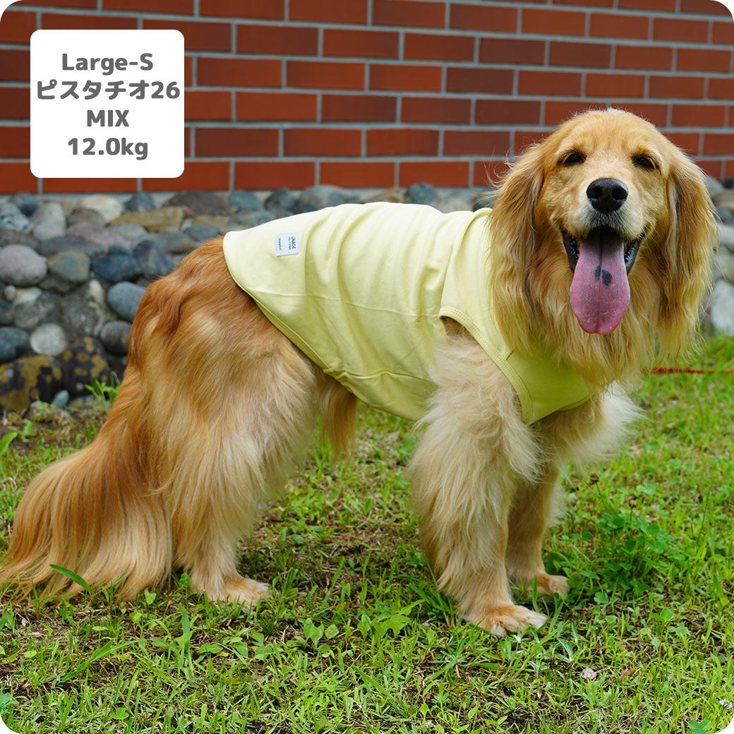 MIX12.0kg(首37/胴53/丈48cm)のはちみつちゃんはピスタチオ26のLarge-Sを着用