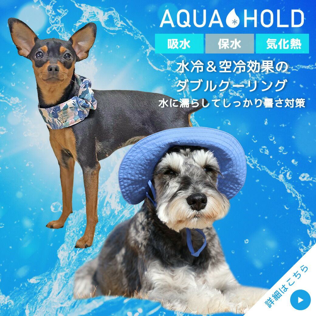 IDOG&ICATAQUAHOLDひんやりシュシュアイドッグ