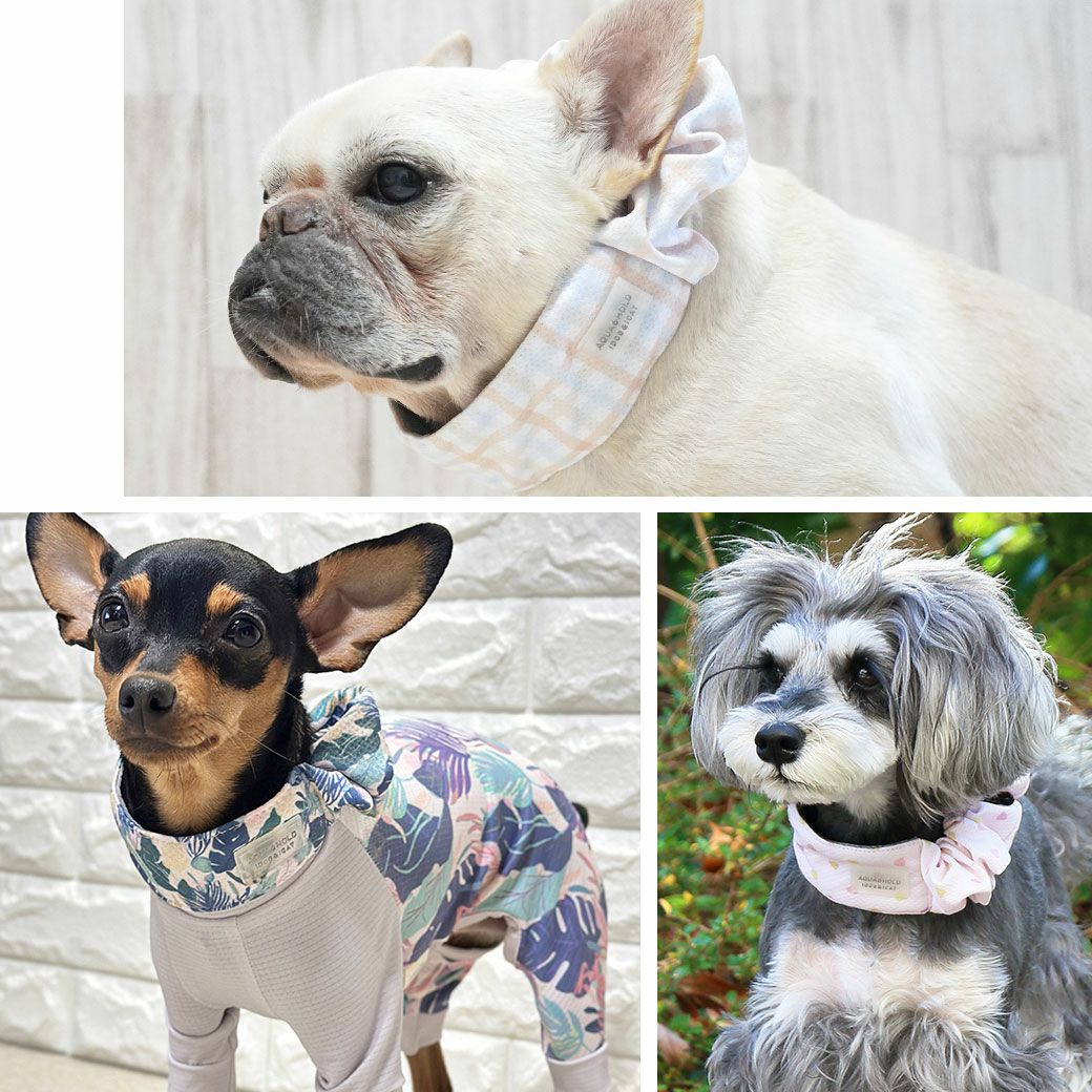 IDOG&ICATAQUAHOLDひんやりシュシュアイドッグ