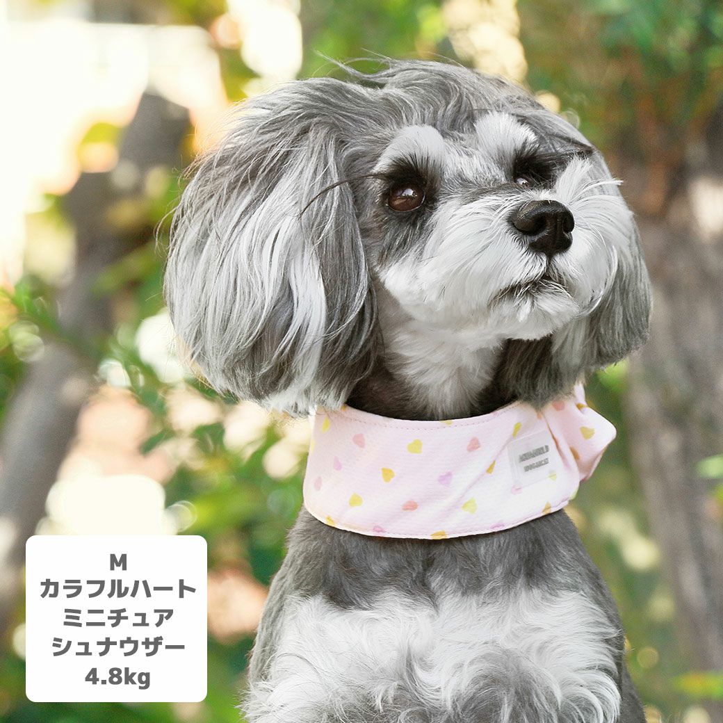 iDog AQUA HOLD ひんやりシュシュ アイドッグ-犬猫用品通販 IDOG&ICAT