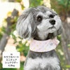 ミニチュアシュナウザー4.8kg(首22/胴39/丈29cm)のあろあちゃんはカラフルハートのMを着用