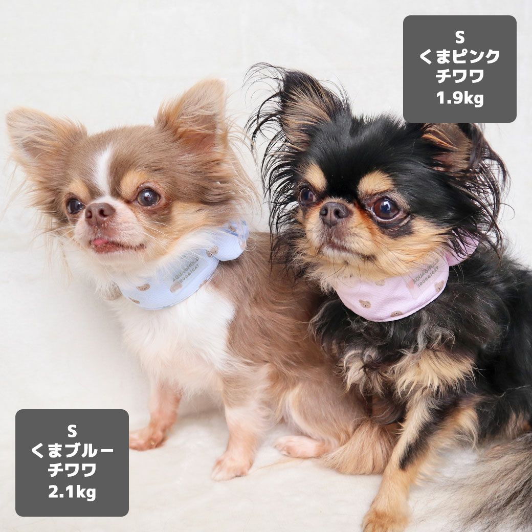 iDog AQUA HOLD ひんやりシュシュ アイドッグ-犬猫用品通販 IDOG&ICAT