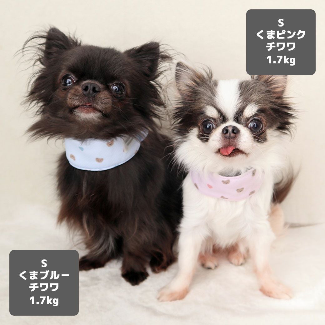 iDog AQUA HOLD ひんやりシュシュ アイドッグ-犬猫用品通販 IDOG&ICAT