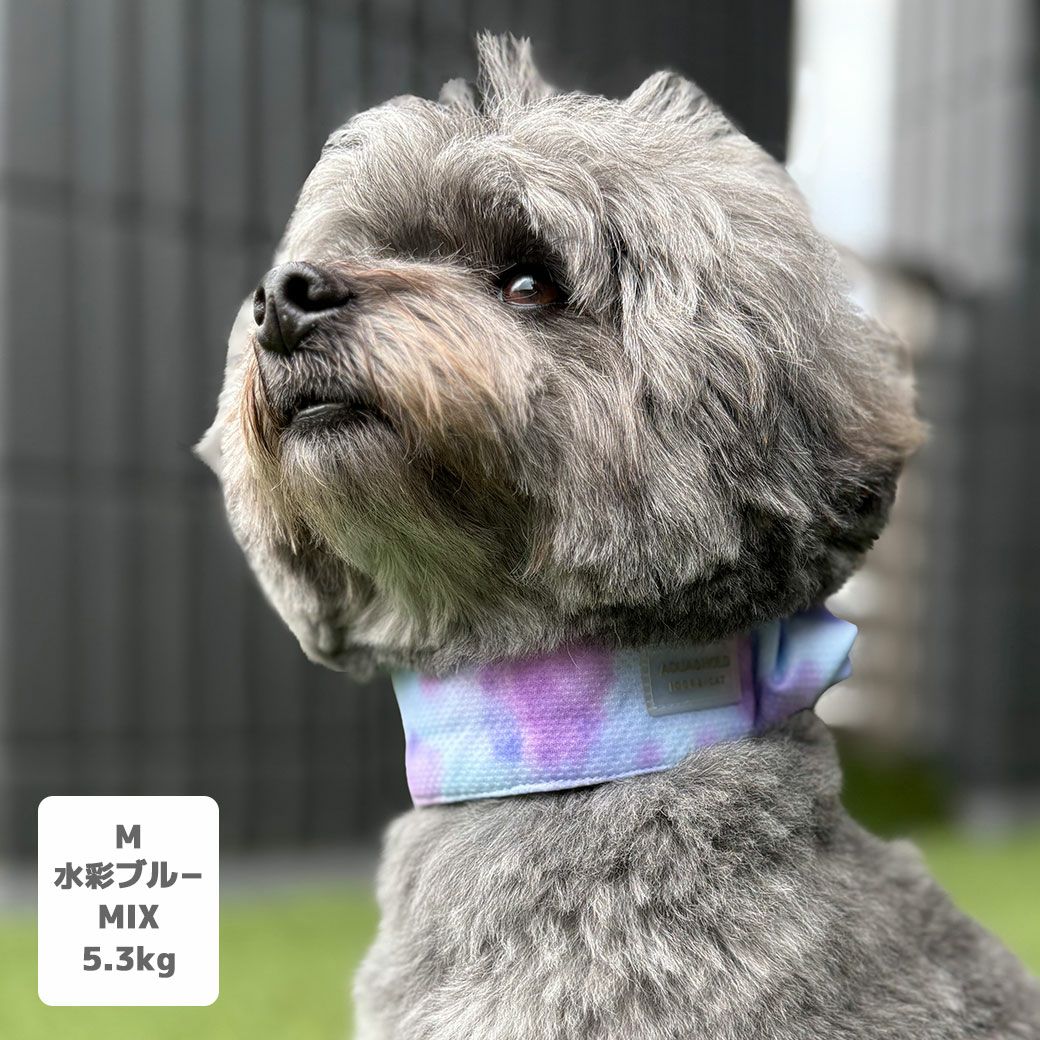 iDog AQUA HOLD ひんやりシュシュ アイドッグ-犬猫用品通販 IDOG&ICAT