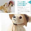 フィット感にこだわりぬいた愛犬用のひんやり帽子