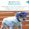 暑い日もたくさんお出かけしたいから
