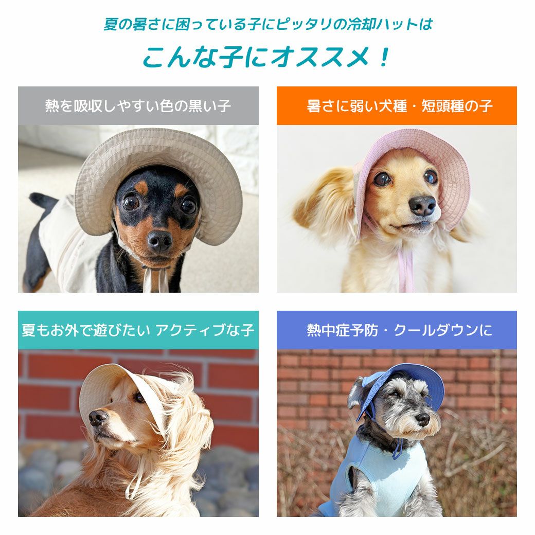 iDog AQUA HOLD ひんやりアクティブハット アイドッグ-犬猫用品通販