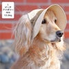 MIX12.0kg(首37/胴53/丈50cm)のクレヨンちゃんはビーチアイボリーのLを着用